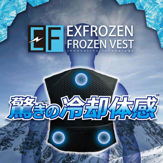 サンエス フローズンベスト&バッテリー EF92392+RD9222N ペルチェ